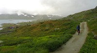 The Rallaarvegen is a wide scenic trail that takes you some of Norway's best scenery. You can bike it for $80! The Rallaarvegen is a wide scenic trail that takes you some of Norway’s best scenery. You can bike it for $80!